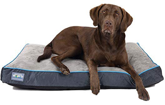 Better Worlds First-Quality Orthopedic Dog Bed