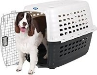 Plastic Dog Crate