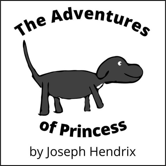 The Adventures of Princess cover image
