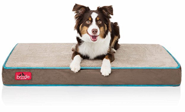 Brindle 4 inch Memory Foam Orthopedic Dog Bed