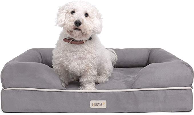 Friends Forever Orthopedic Dog Bed