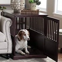 Designer Dog Crate