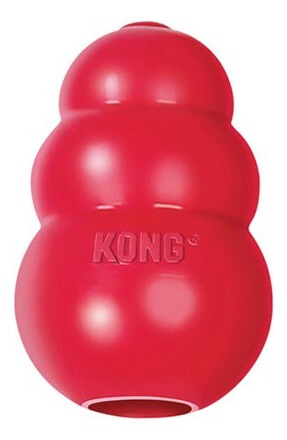 Classic Kong dog toy