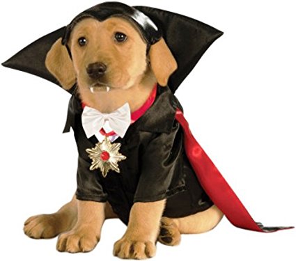 Dracula Dog Costume