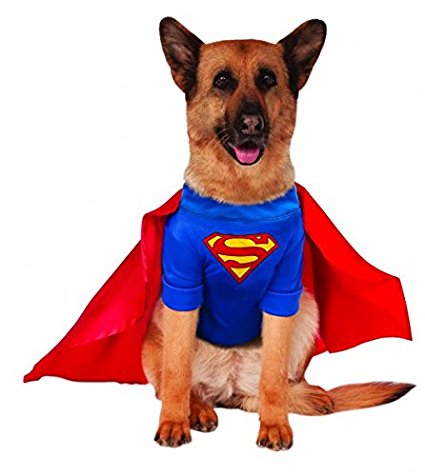 Superman Dog Costume