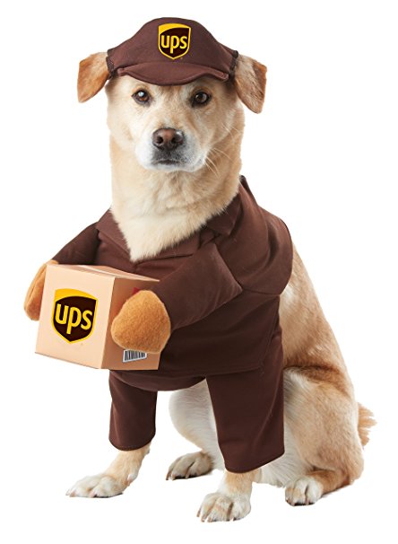 UPS Delivery Driver Dog Costume