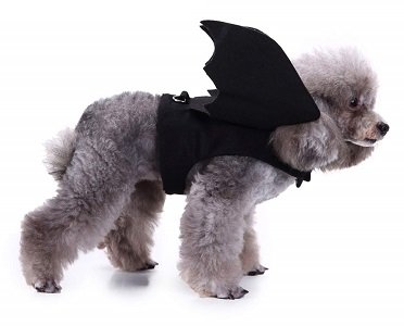 Bat Dog Halloween Costume