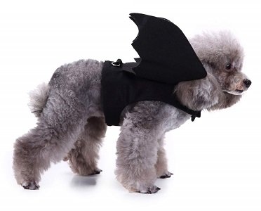 Bat Dog Halloween Costume