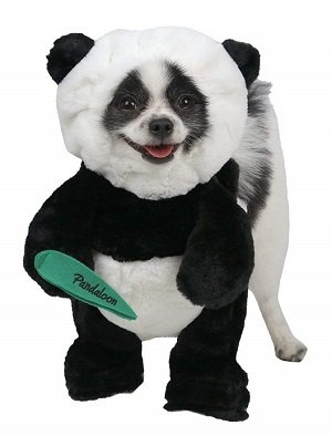 Panda Dog Halloween Costume