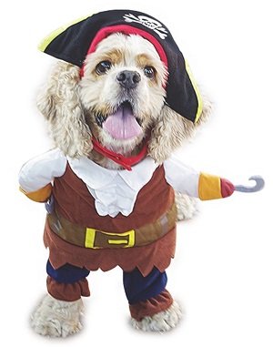 Pirate Dog Halloween Costume