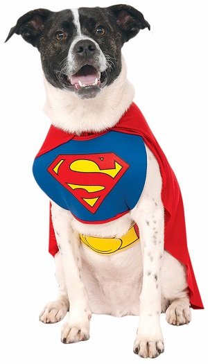 Superman Dog Halloween Costume