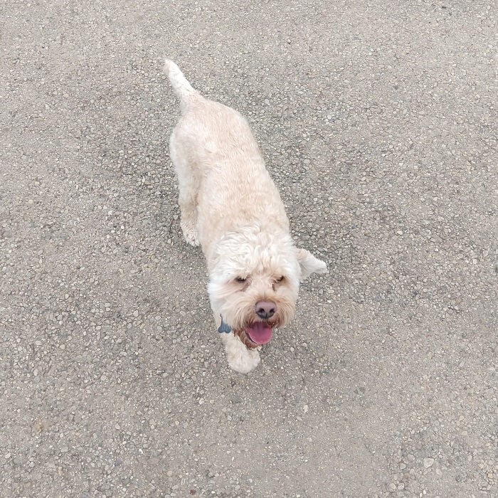 Niko looking up at me when we first got to the park.