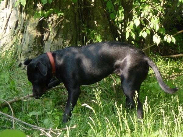 Princess in the backyard