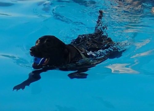 Princess swimming in a swimming pool.