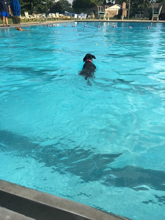 Princess swimming.