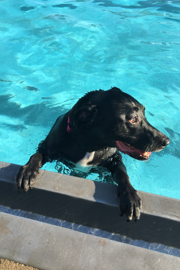 Princess on the poolside.